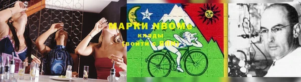 ПСИЛОЦИБИНОВЫЕ ГРИБЫ Кукмор