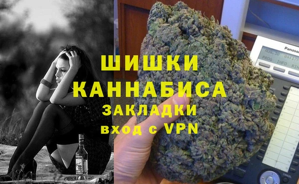 PSILOCYBIN Краснослободск