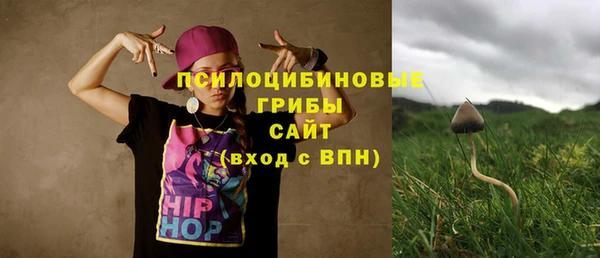 ГАЛЛЮЦИНОГЕННЫЕ ГРИБЫ Краснотурьинск