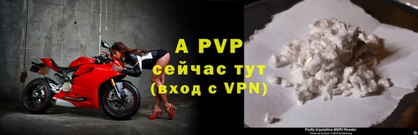 мяу мяу мука Кулебаки