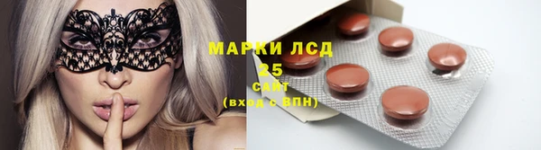 ГАЛЛЮЦИНОГЕННЫЕ ГРИБЫ Краснотурьинск