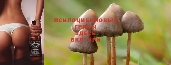 ГАЛЛЮЦИНОГЕННЫЕ ГРИБЫ Краснотурьинск