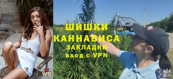 PSILOCYBIN Краснослободск