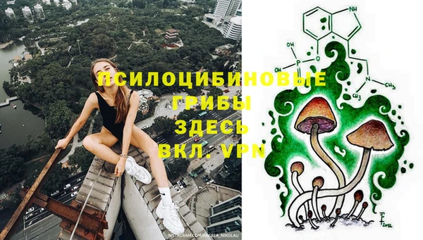 сатива Красноперекопск